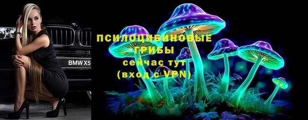 a pvp Михайловск