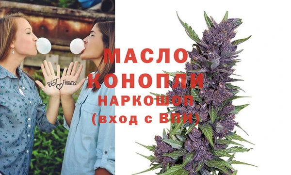 гашик Михайлов